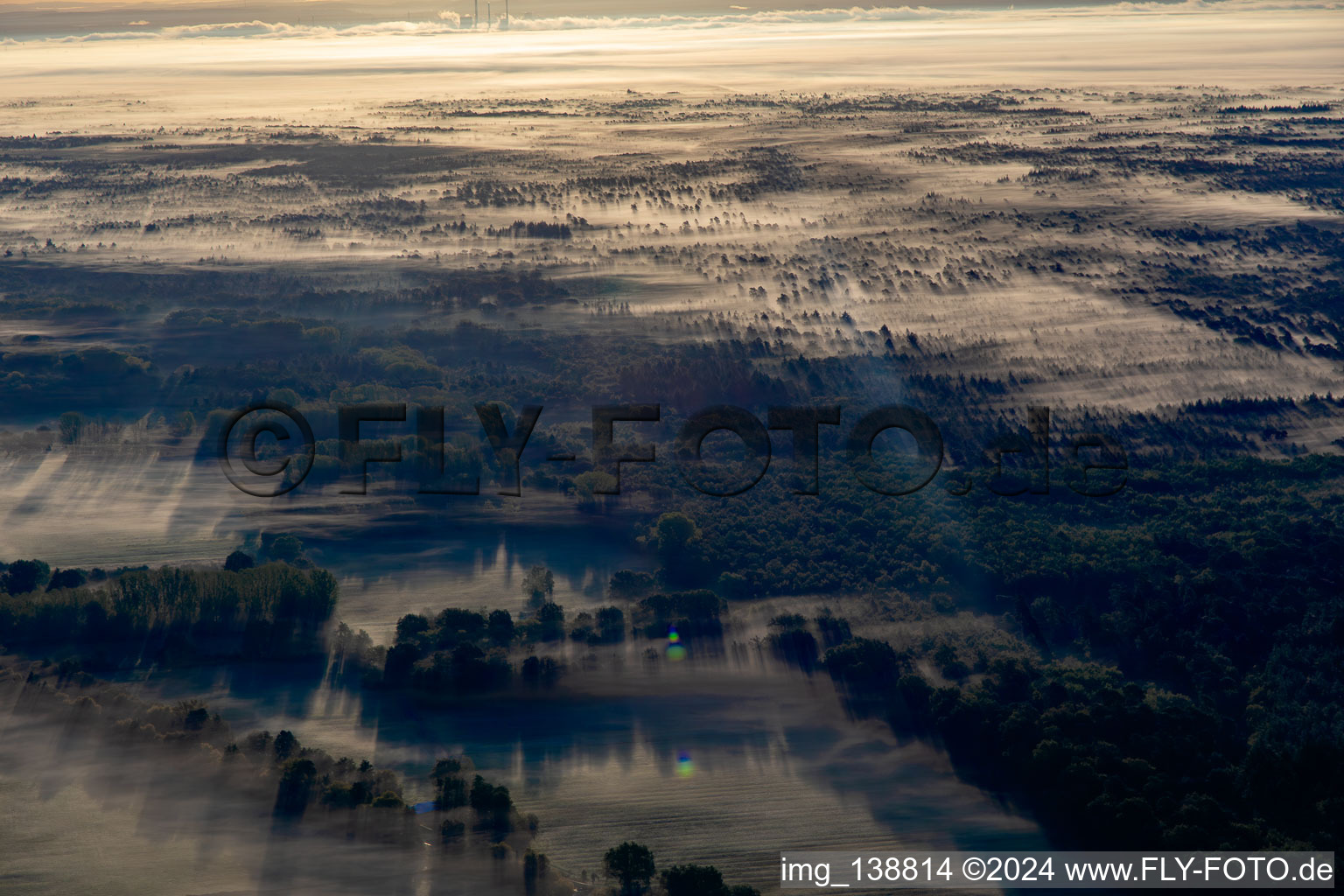 Bienwald in the morning mist in Schweighofen in the state Rhineland-Palatinate, Germany