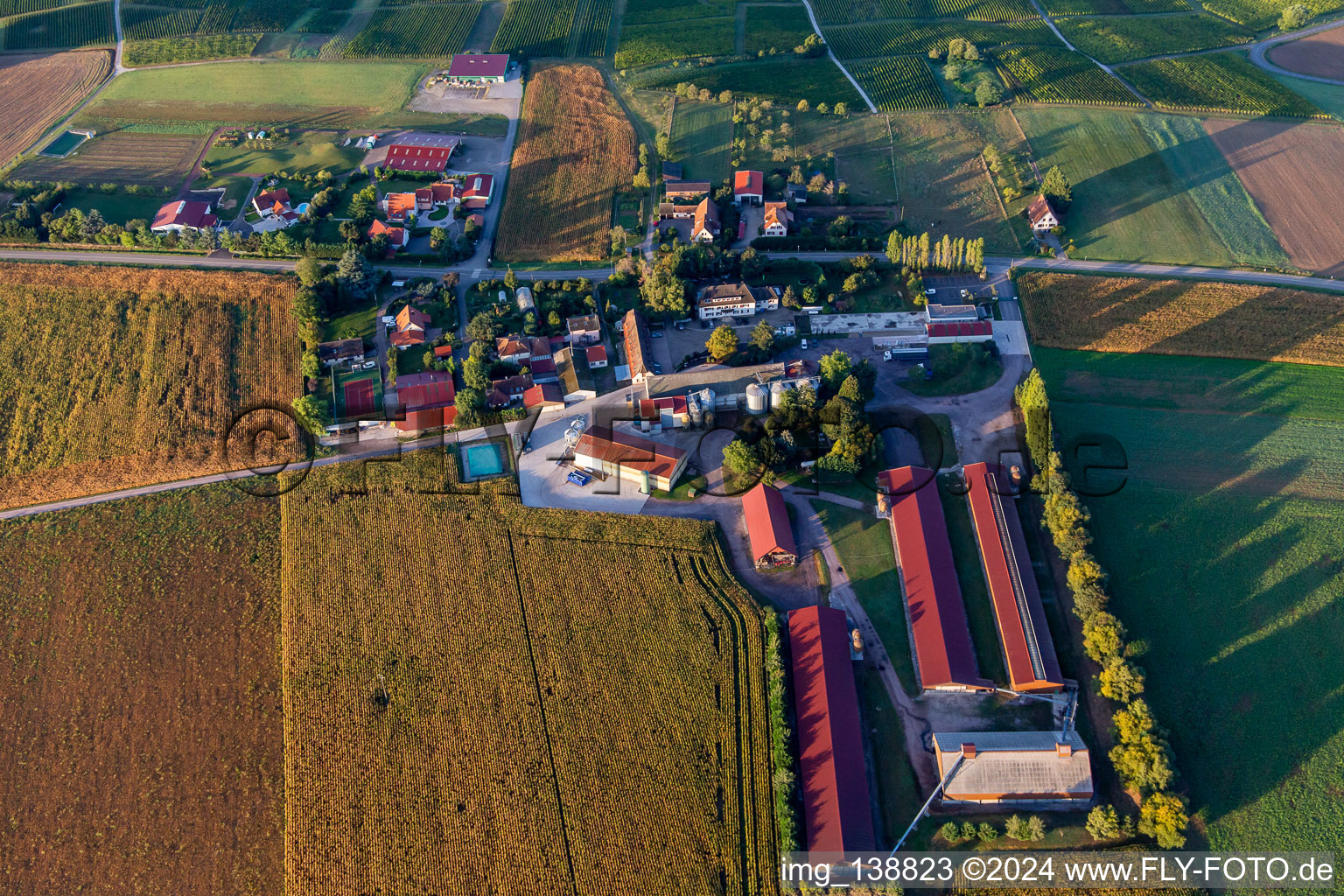 Schafbusch Farm in Steinseltz in the state Bas-Rhin, France