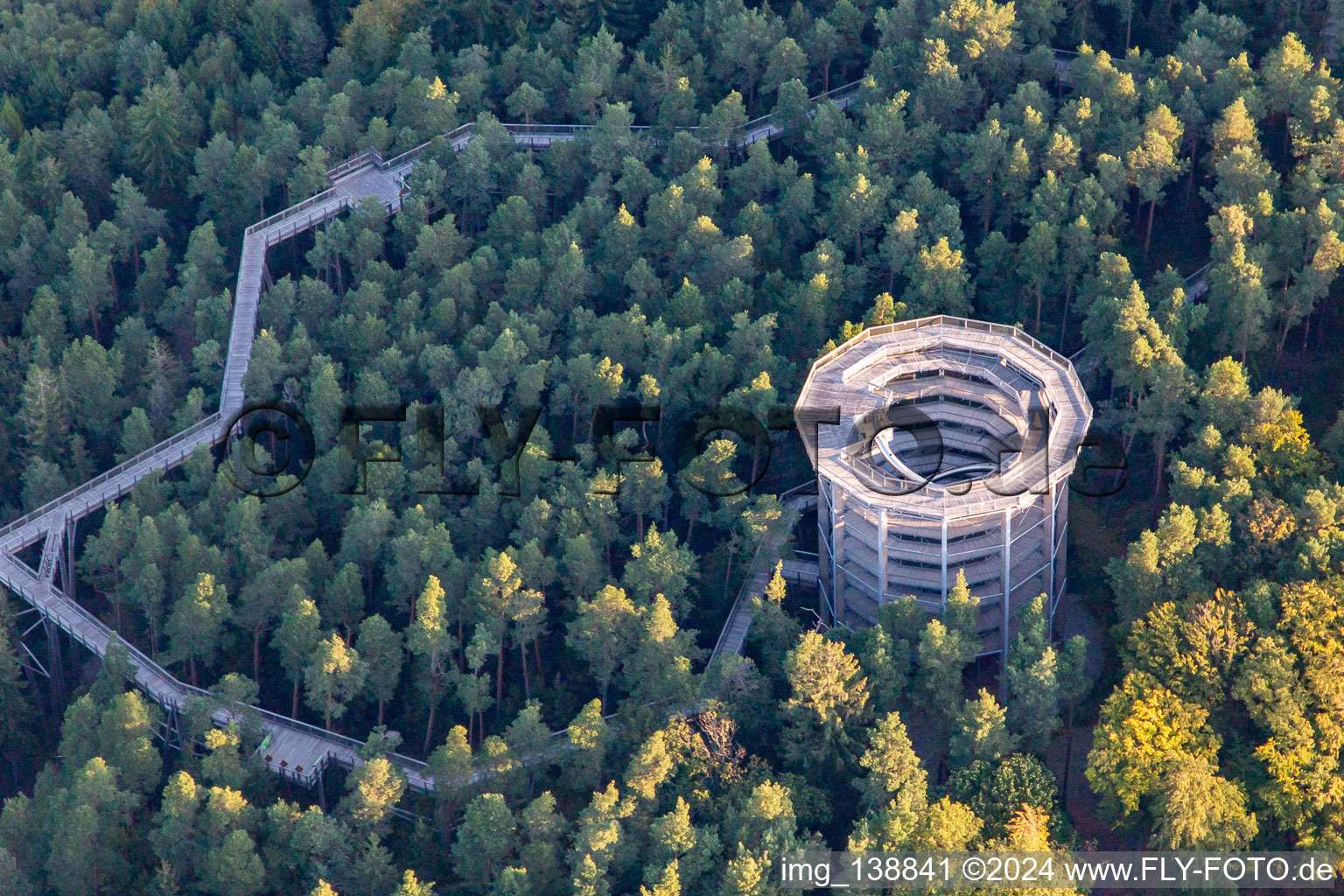 Aerial view of Treetop Walk Alsace in Cleebourg in the state Bas-Rhin, France