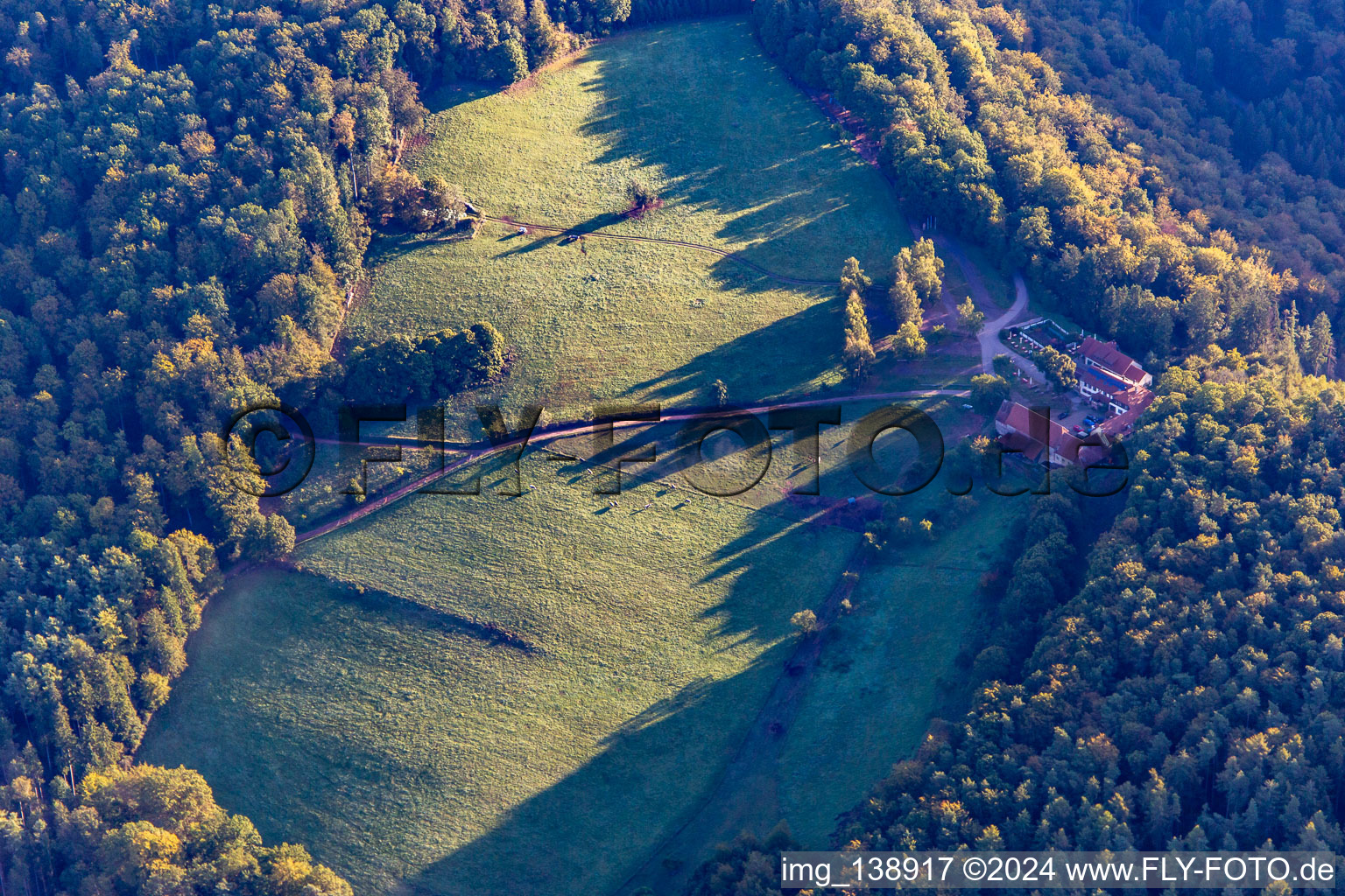 Lembach in the state Bas-Rhin, France out of the air