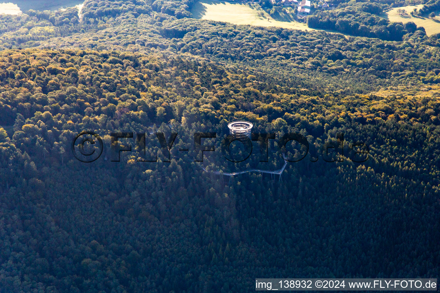 Aerial photograpy of Treetop Walk Alsace in Cleebourg in the state Bas-Rhin, France