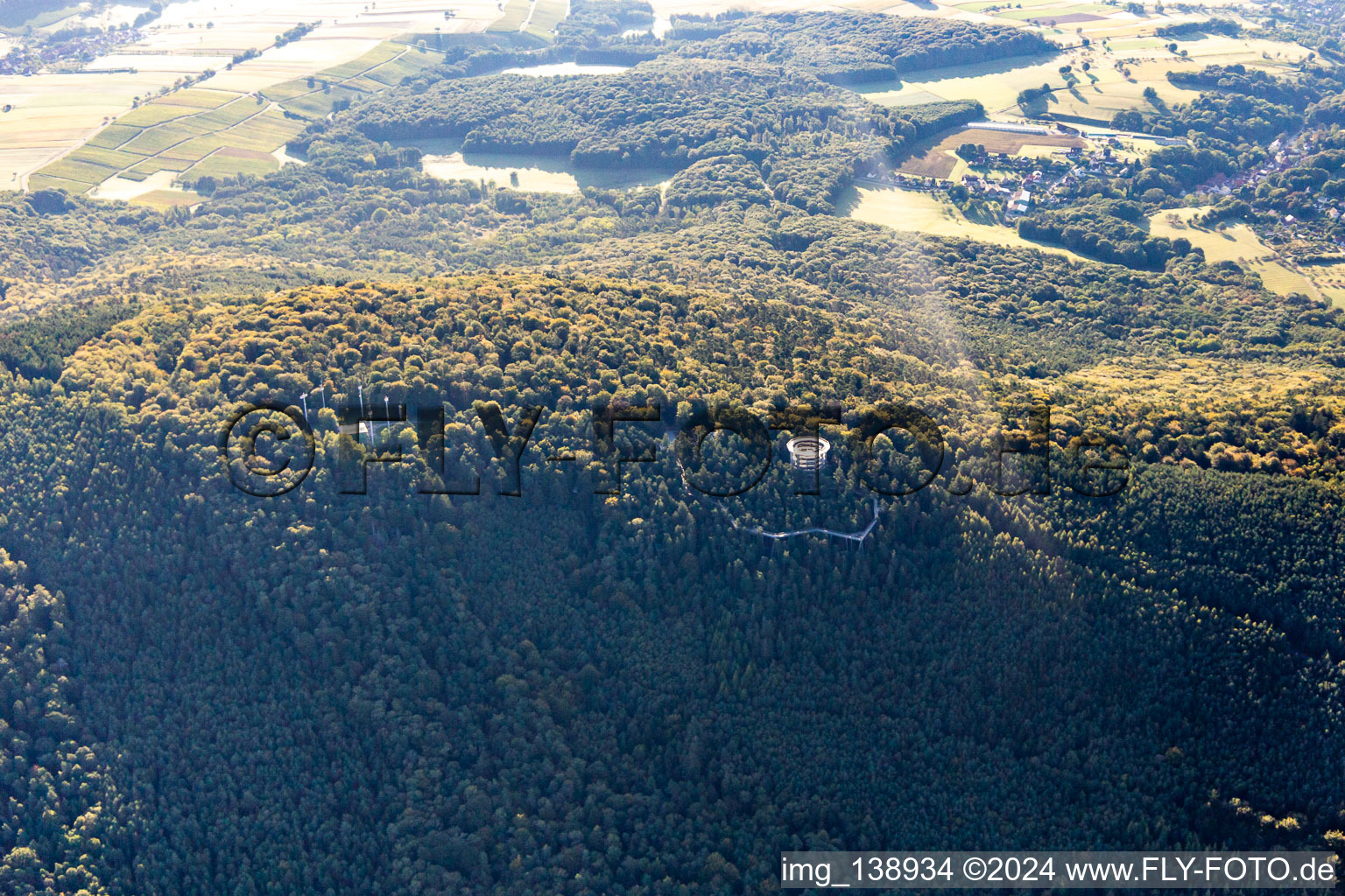 Oblique view of Treetop Walk Alsace in Cleebourg in the state Bas-Rhin, France