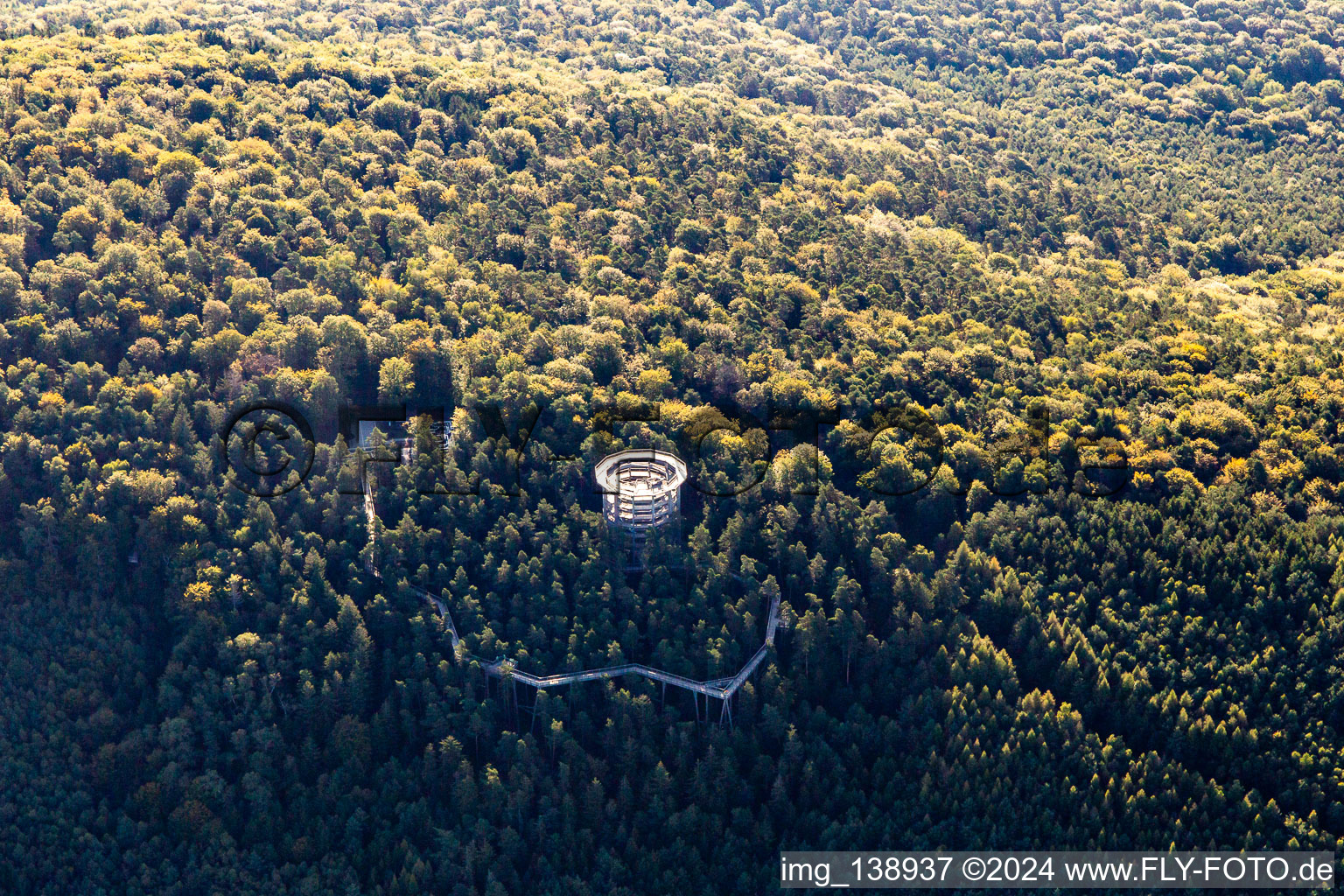 Treetop Walk Alsace in Cleebourg in the state Bas-Rhin, France from above