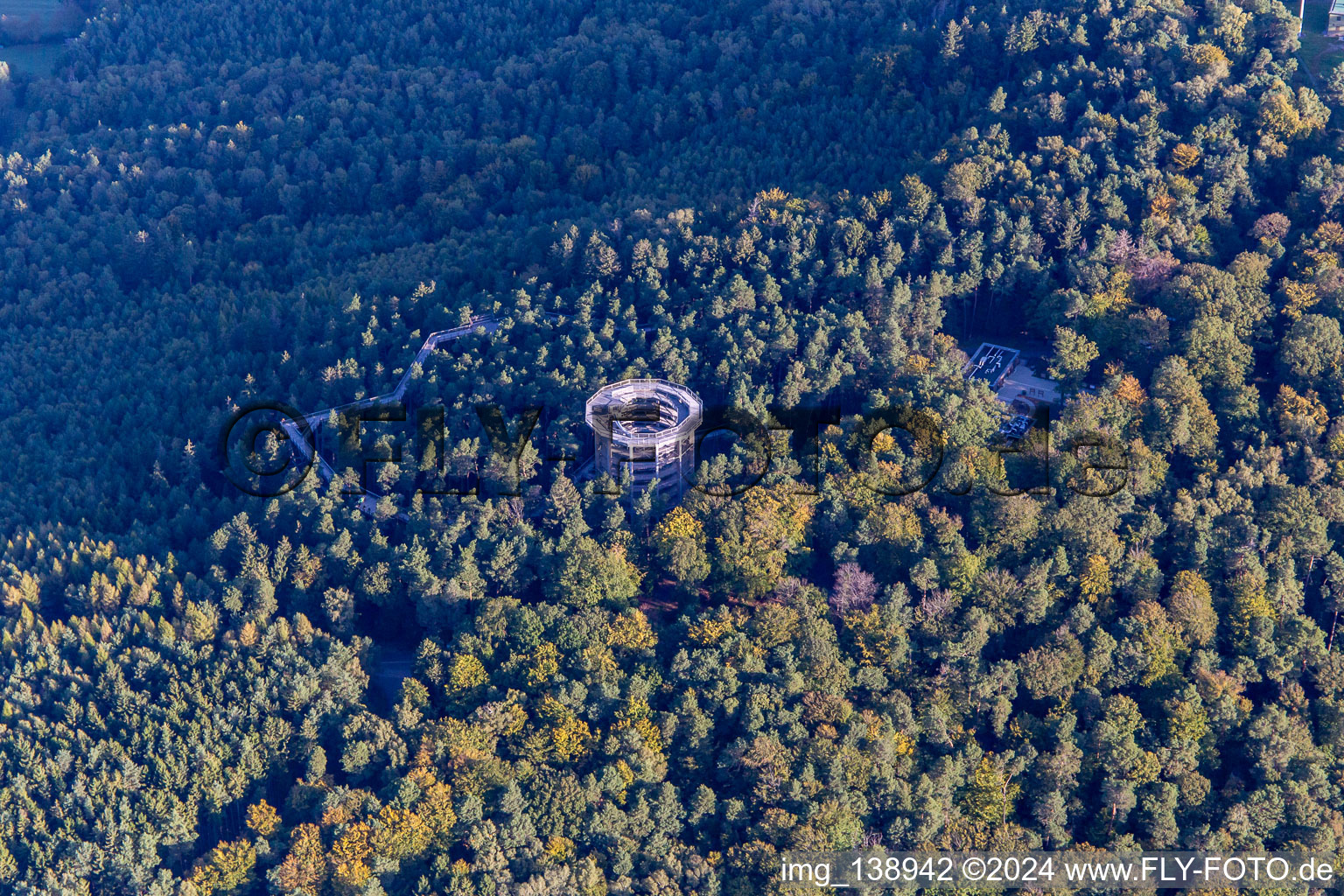 Treetop Walk Alsace in Cleebourg in the state Bas-Rhin, France seen from above