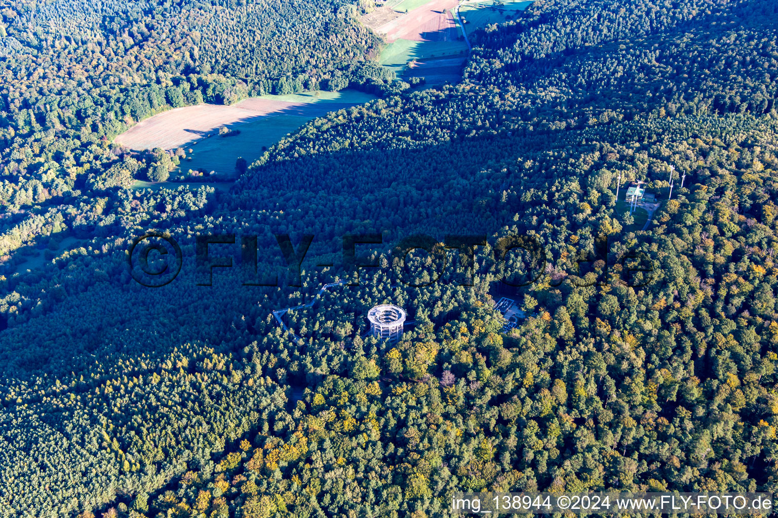 Treetop Walk Alsace in Cleebourg in the state Bas-Rhin, France from the plane