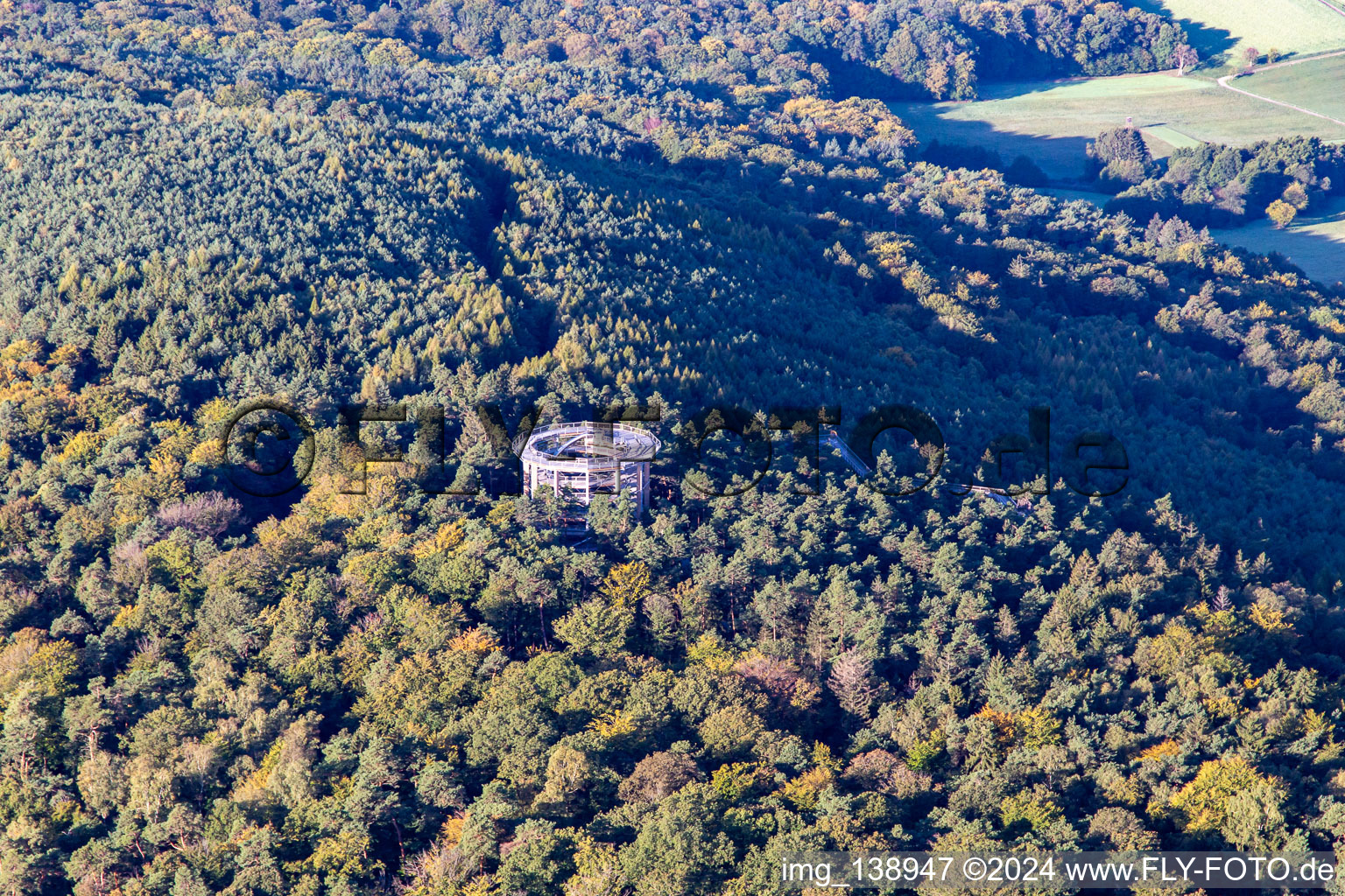 Bird's eye view of Treetop Walk Alsace in Cleebourg in the state Bas-Rhin, France