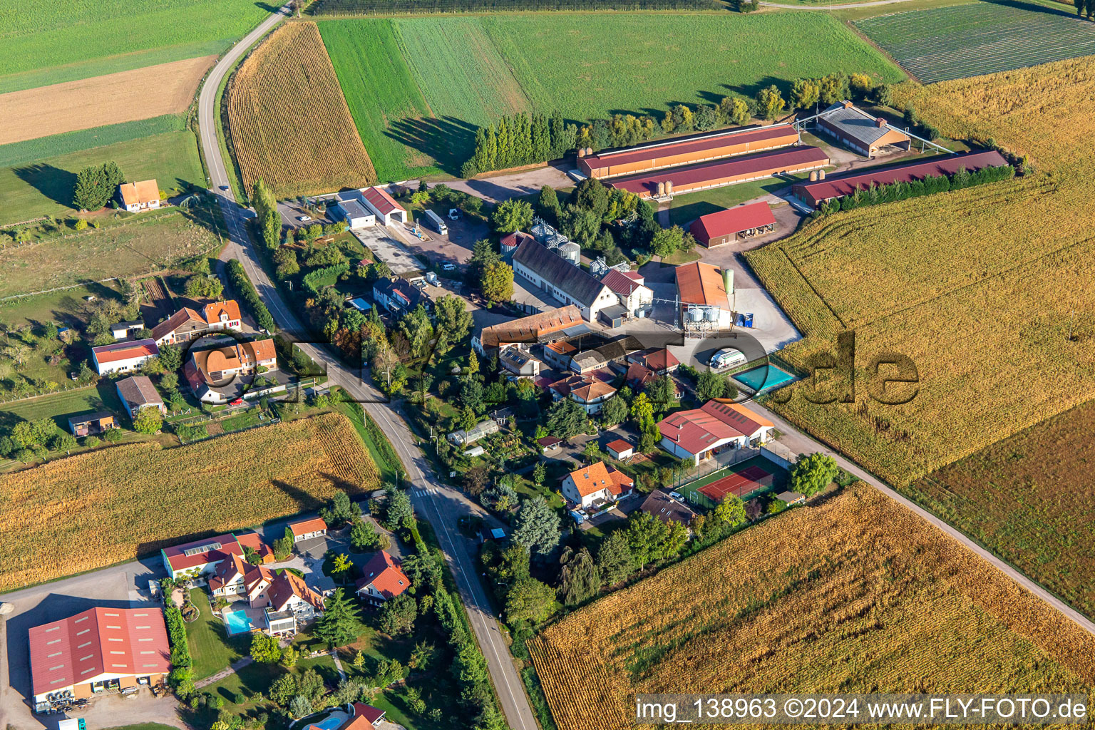 Aerial photograpy of Schafbusch Farm in Steinseltz in the state Bas-Rhin, France