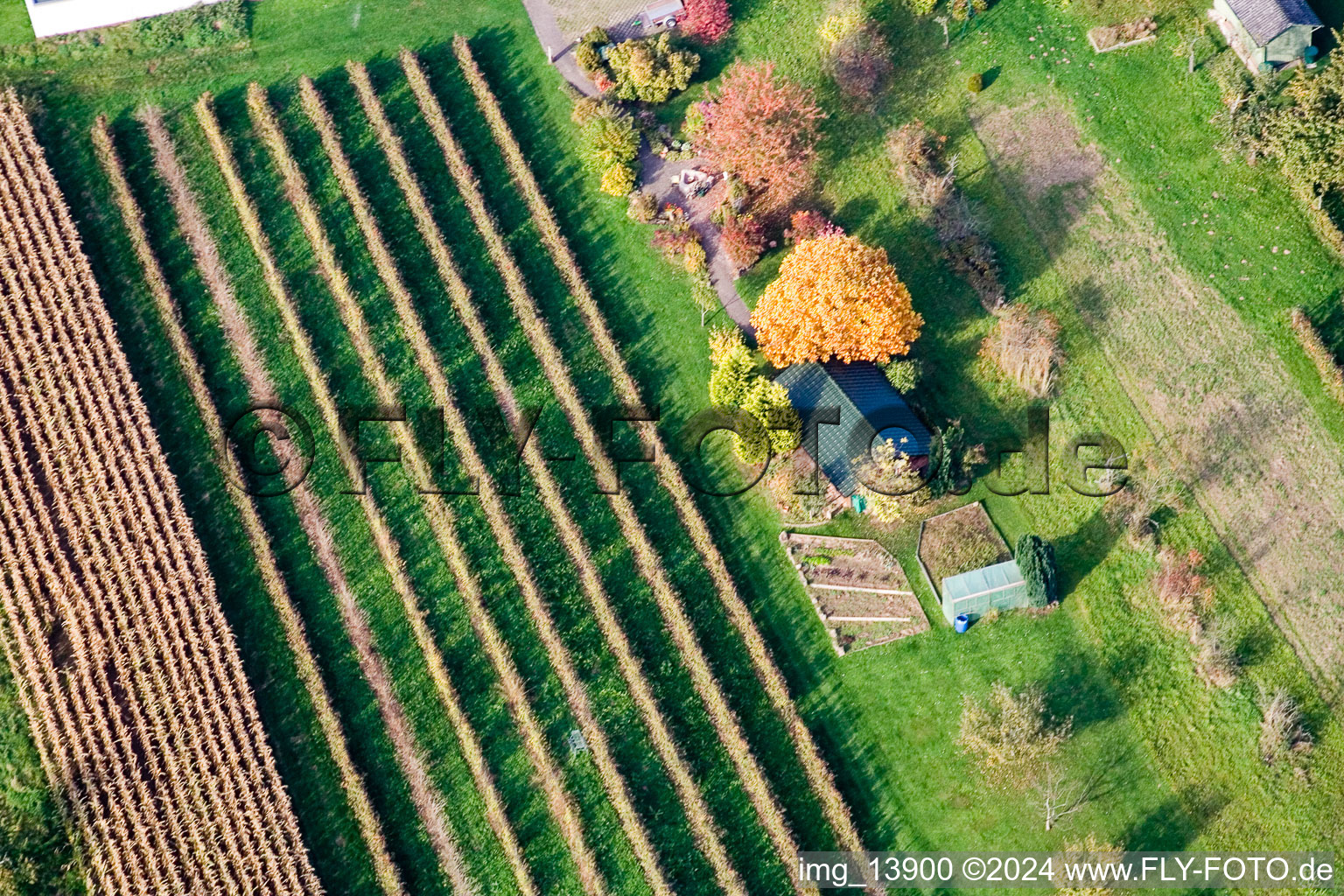 Aerial photograpy of Runzweg in the district Urloffen in Appenweier in the state Baden-Wuerttemberg, Germany