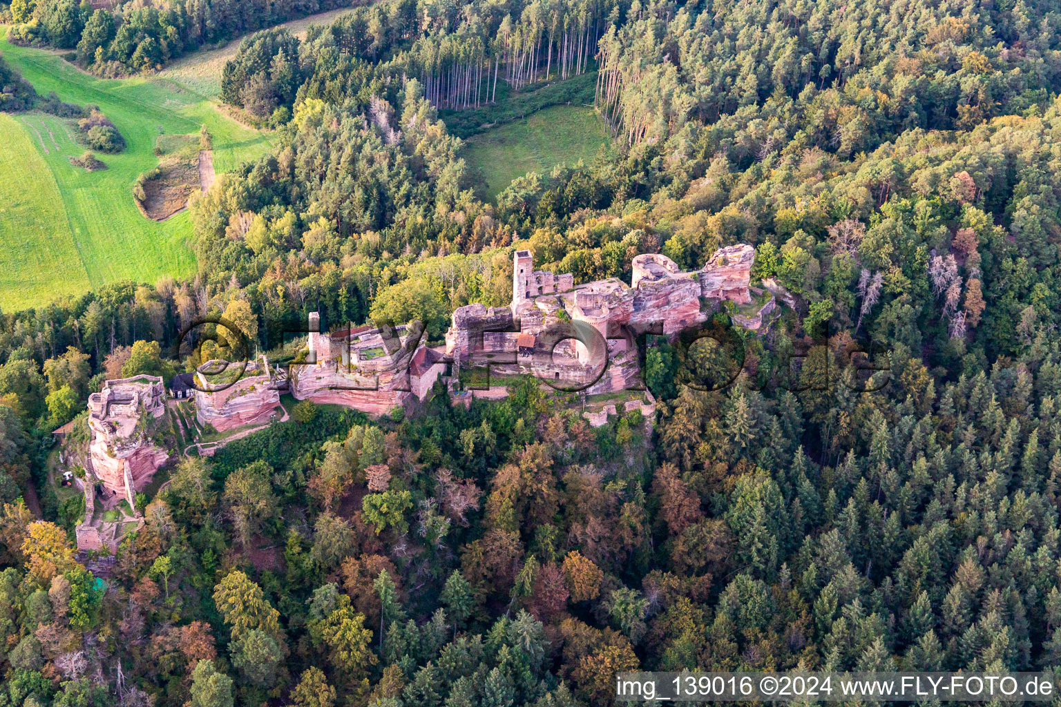 Aerial photograpy of Altdahn castle massif with the castle ruins of Grafendahn and Tanstein in Dahn in the state Rhineland-Palatinate, Germany