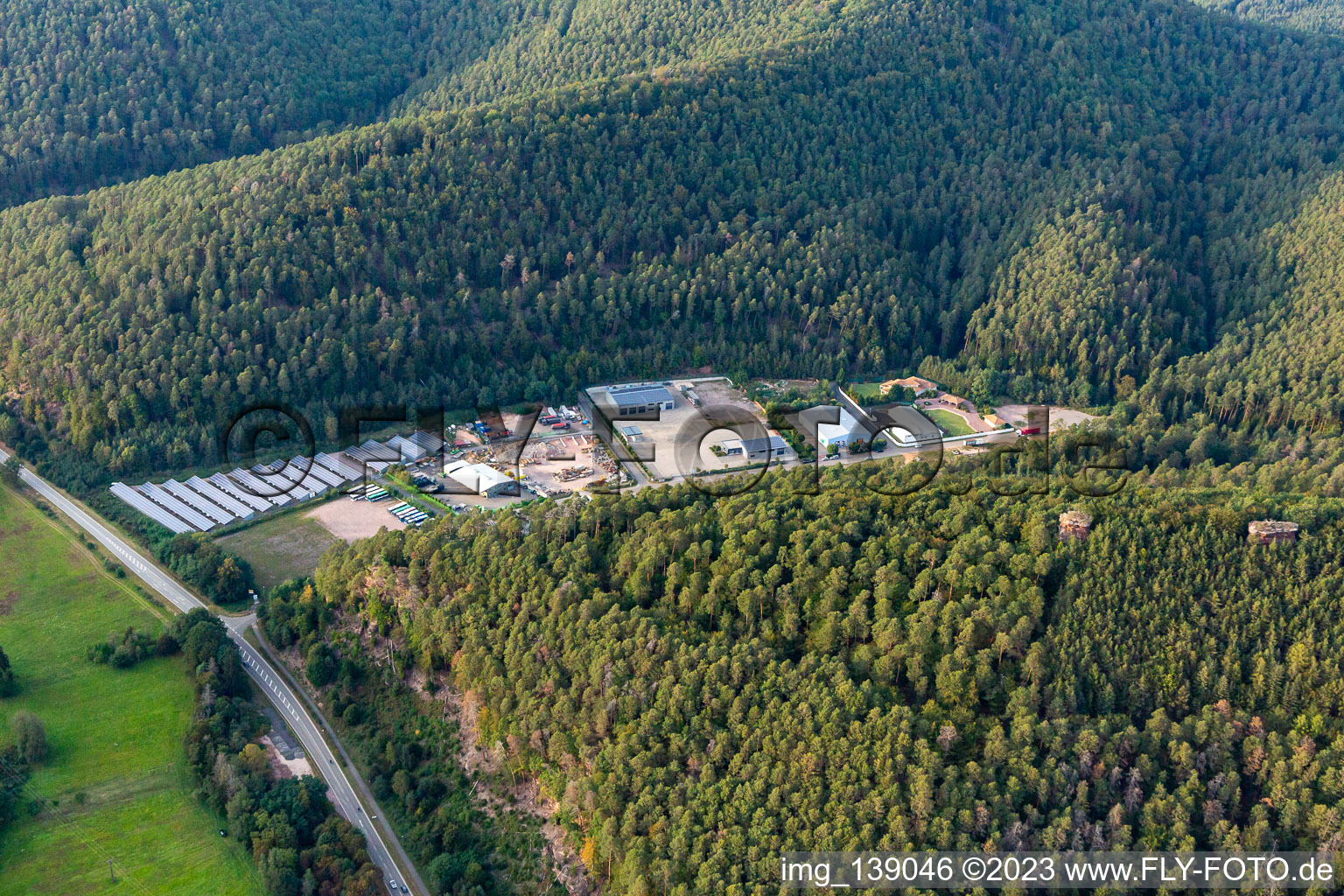 Frank Korbwarenfabrik GmbH & Co. KG and Schwarz Zimmerei und Dachdeckerei GmbH behind the Galgenfelsen in Dahn in the state Rhineland-Palatinate, Germany