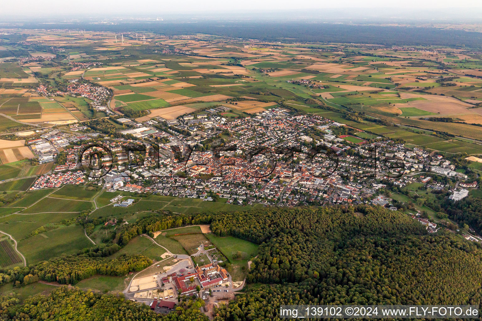 From the northwest in Bad Bergzabern in the state Rhineland-Palatinate, Germany