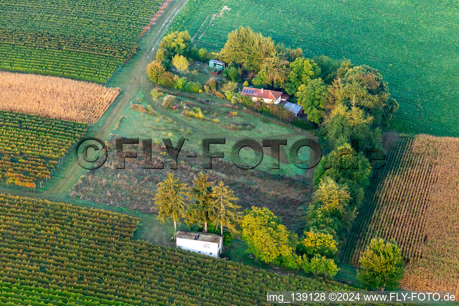 Dacha in the countryside in Oberotterbach in the state Rhineland-Palatinate, Germany