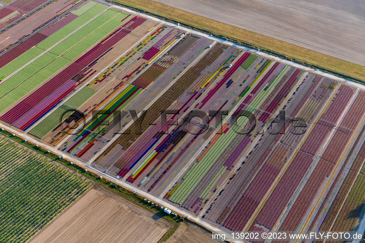 Aerial photograpy of Colorful flower beds from Ferme Brandt Arbogast Morsbronn in Durrenbach in the state Bas-Rhin, France