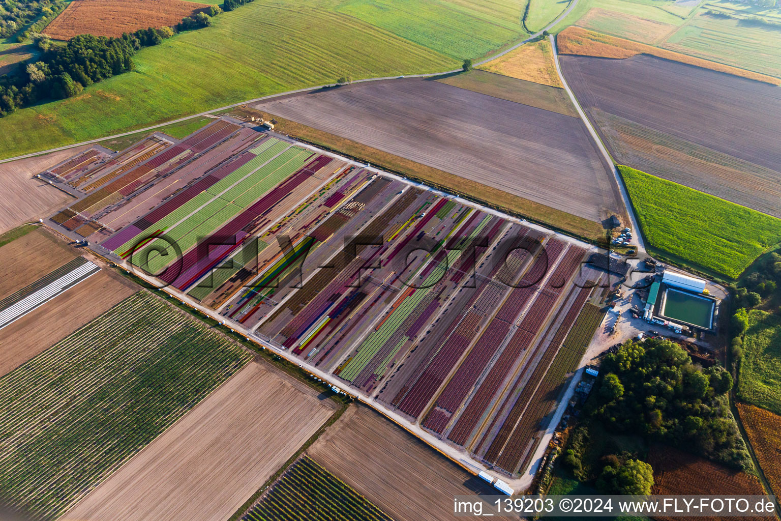 Oblique view of Colorful flower beds of Ferme Brandt Arbogast Morsbronn in Durrenbach in the state Bas-Rhin, France