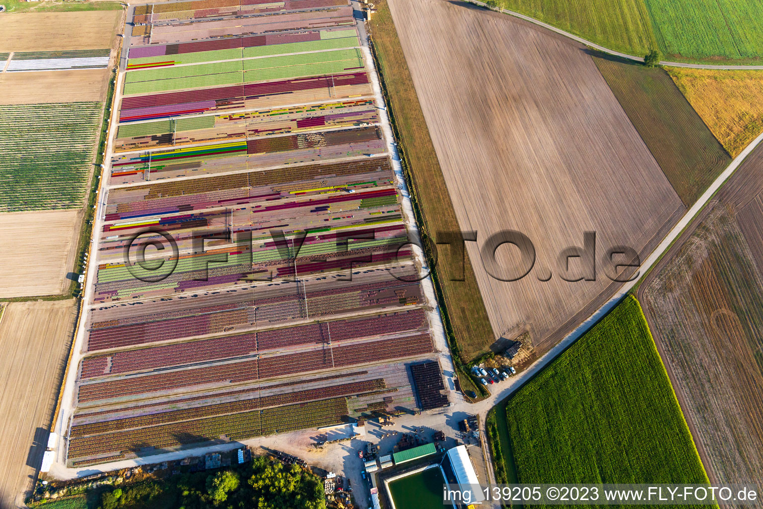 Colorful flower beds from Ferme Brandt Arbogast Morsbronn in Durrenbach in the state Bas-Rhin, France from above