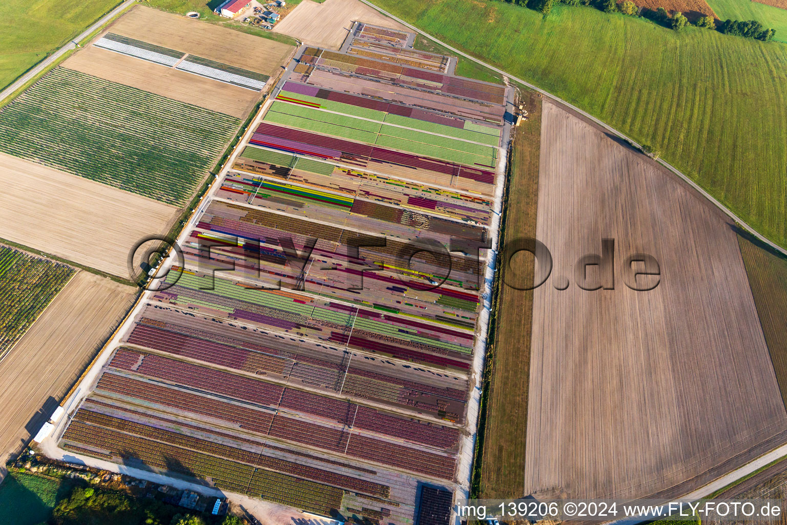 Colorful flower beds of Ferme Brandt Arbogast Morsbronn in Durrenbach in the state Bas-Rhin, France out of the air