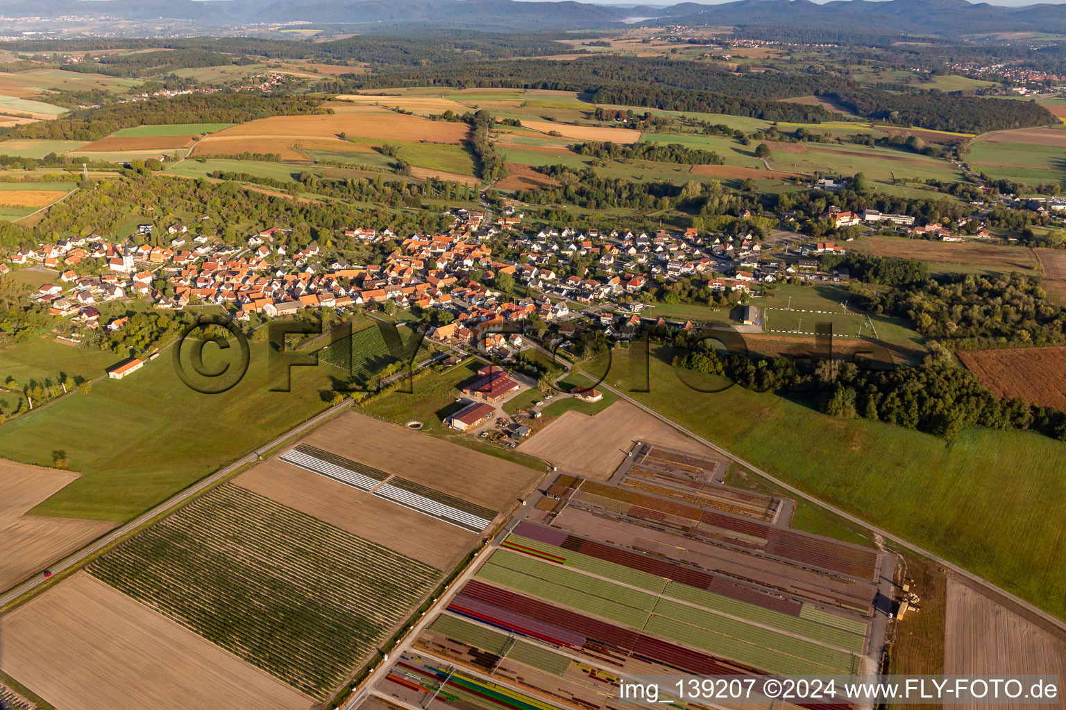 Ferme Brandt Arbogast Morsbronn in Morsbronn-les-Bains in the state Bas-Rhin, France