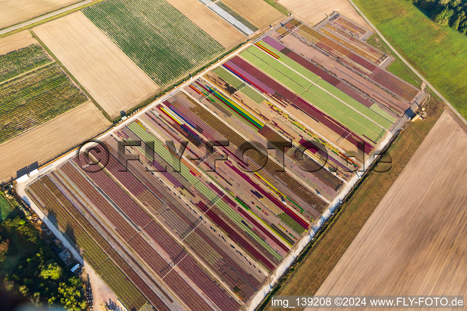 Colorful flower beds of Ferme Brandt Arbogast Morsbronn in Durrenbach in the state Bas-Rhin, France seen from above