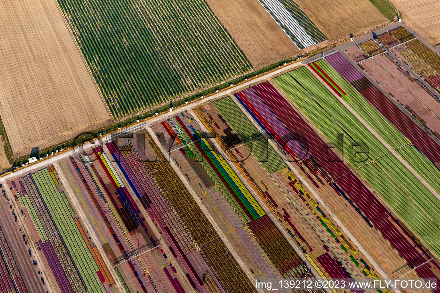 Colorful flower beds from Ferme Brandt Arbogast Morsbronn in Durrenbach in the state Bas-Rhin, France from the plane
