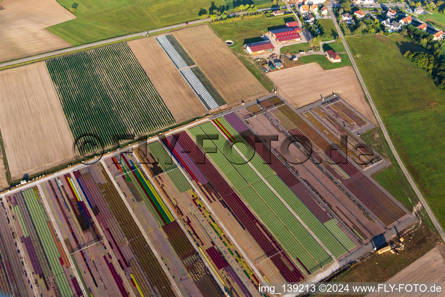 Bird's eye view of Colorful flower beds of Ferme Brandt Arbogast Morsbronn in Durrenbach in the state Bas-Rhin, France