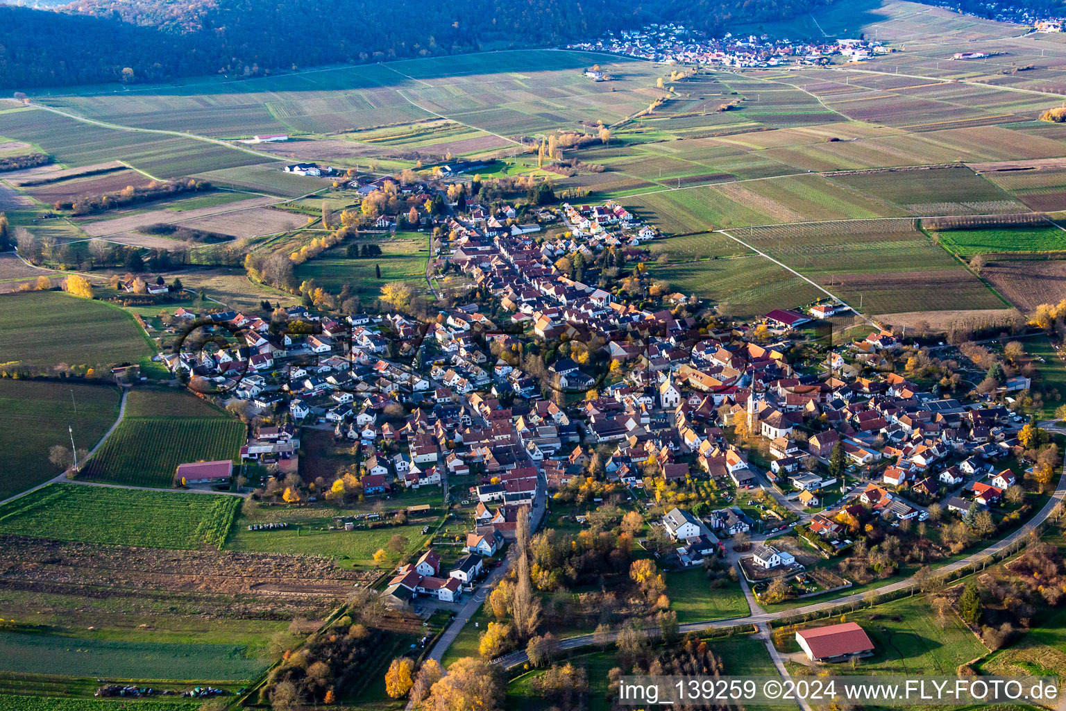 From the east in Göcklingen in the state Rhineland-Palatinate, Germany