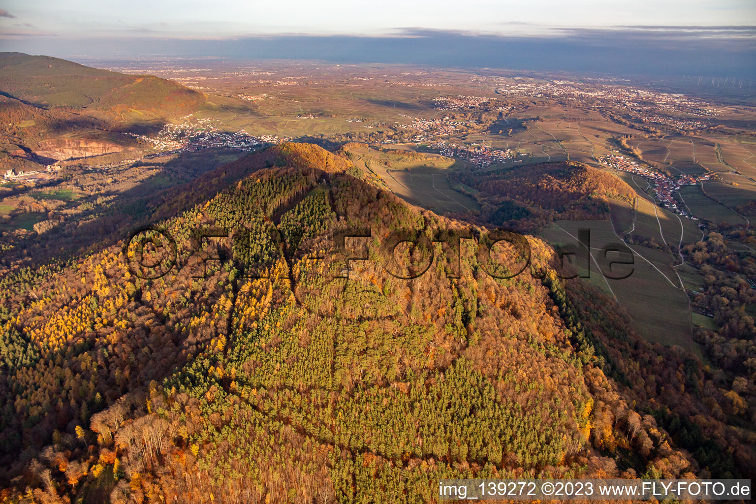 Hohenberg from the west in Annweiler am Trifels in the state Rhineland-Palatinate, Germany