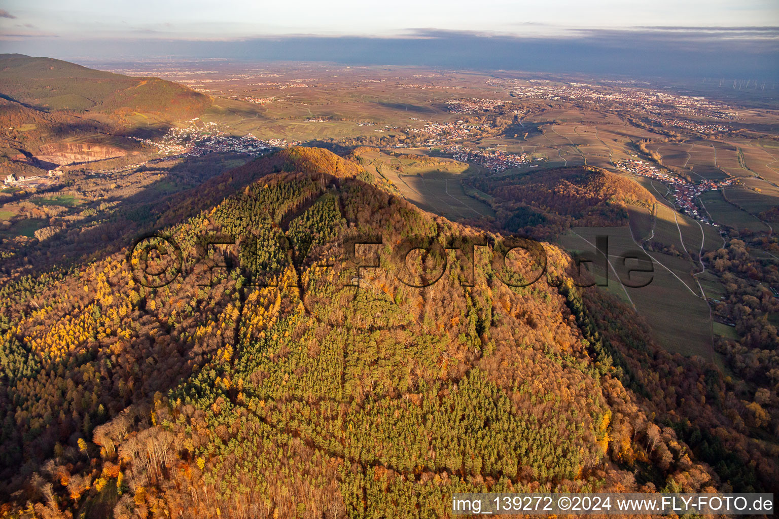 Hohenberg from the west in Annweiler am Trifels in the state Rhineland-Palatinate, Germany