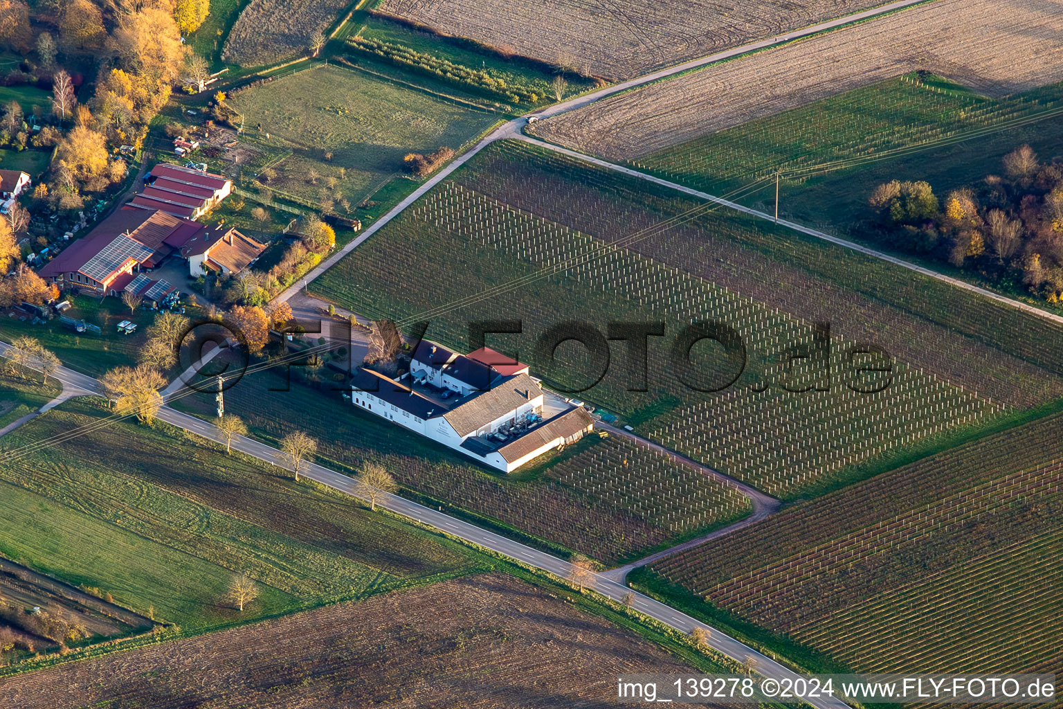 Knaufs Weinstube in Göcklingen in the state Rhineland-Palatinate, Germany