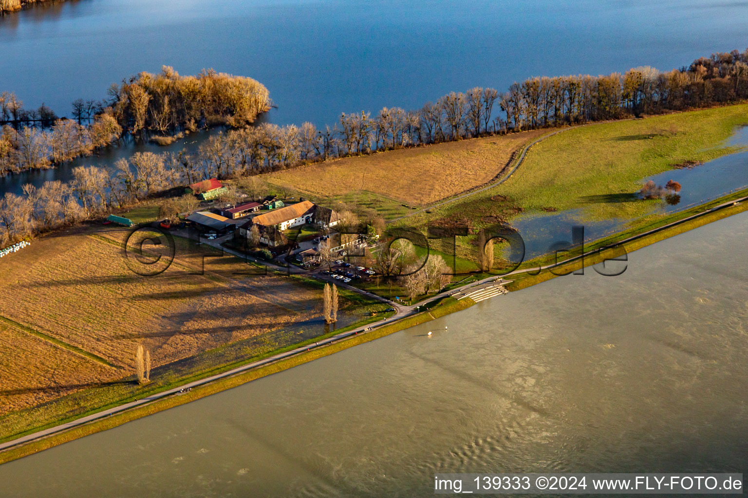 Staircase platform at Hofgut Maxau during Rhine flood in the district Knielingen in Karlsruhe in the state Baden-Wuerttemberg, Germany