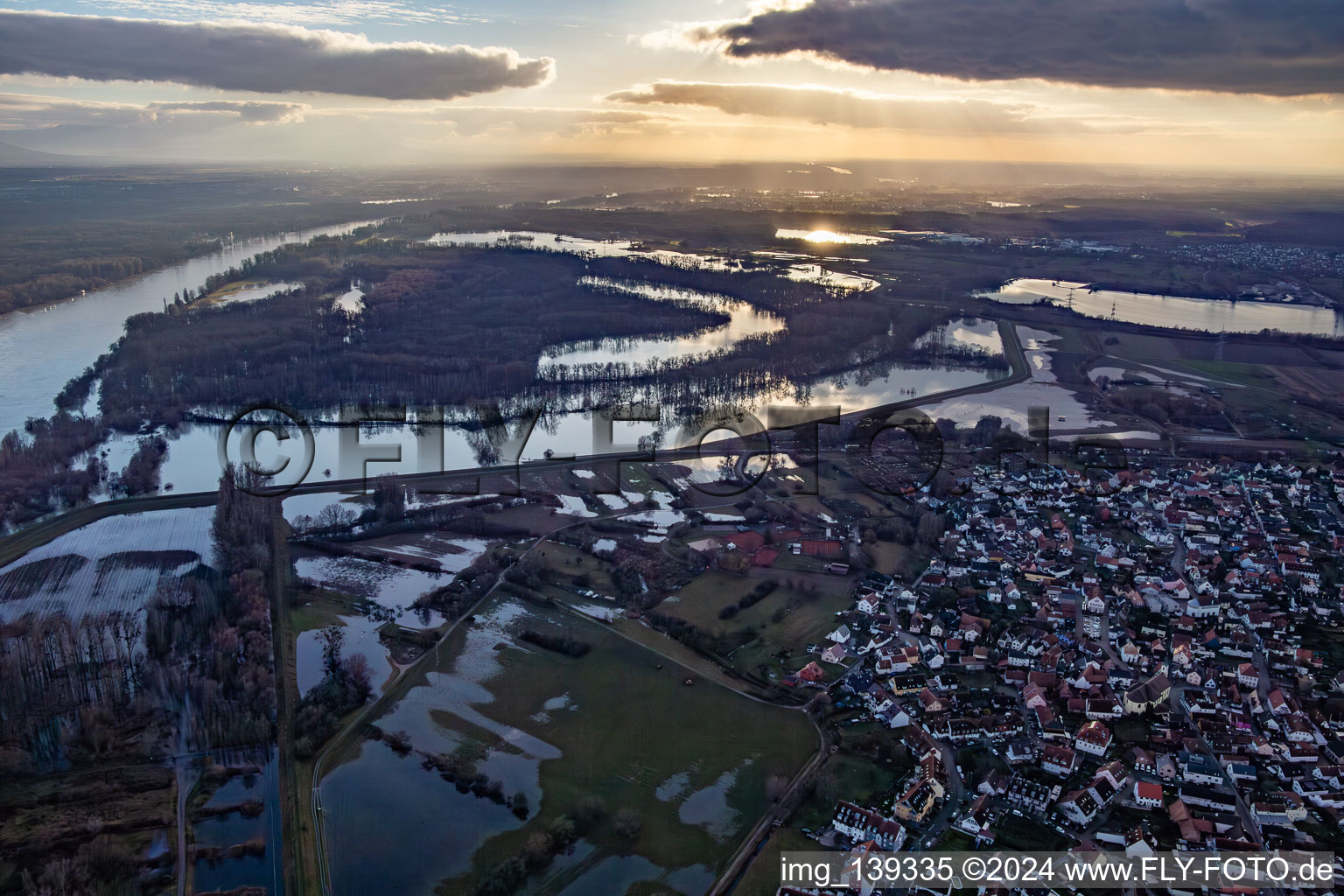 Goldgrund nature reserve in the Hagenbacher Altrheinschleife flooded due to flooding in the district Maximiliansau in Wörth am Rhein in the state Rhineland-Palatinate, Germany