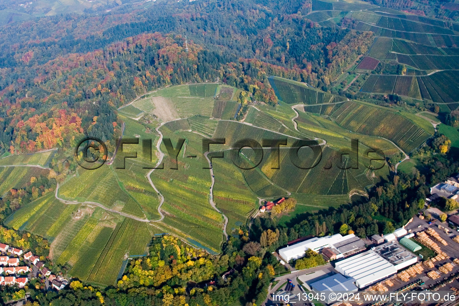 Fields of wine cultivation landscape above sawmill in the district Oberachern in Achern in the state Baden-Wurttemberg