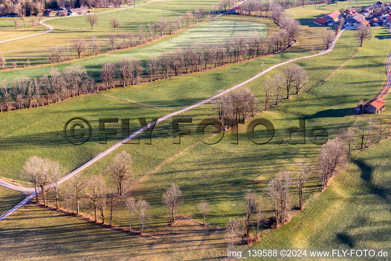 Orchards in winter in the district Arzbach in Wackersberg in the state Bavaria, Germany