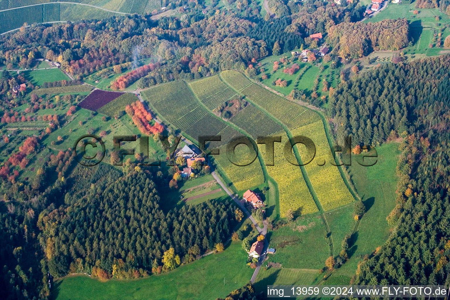 Lochwald in the district Matzenhöfe in Lauf in the state Baden-Wuerttemberg, Germany