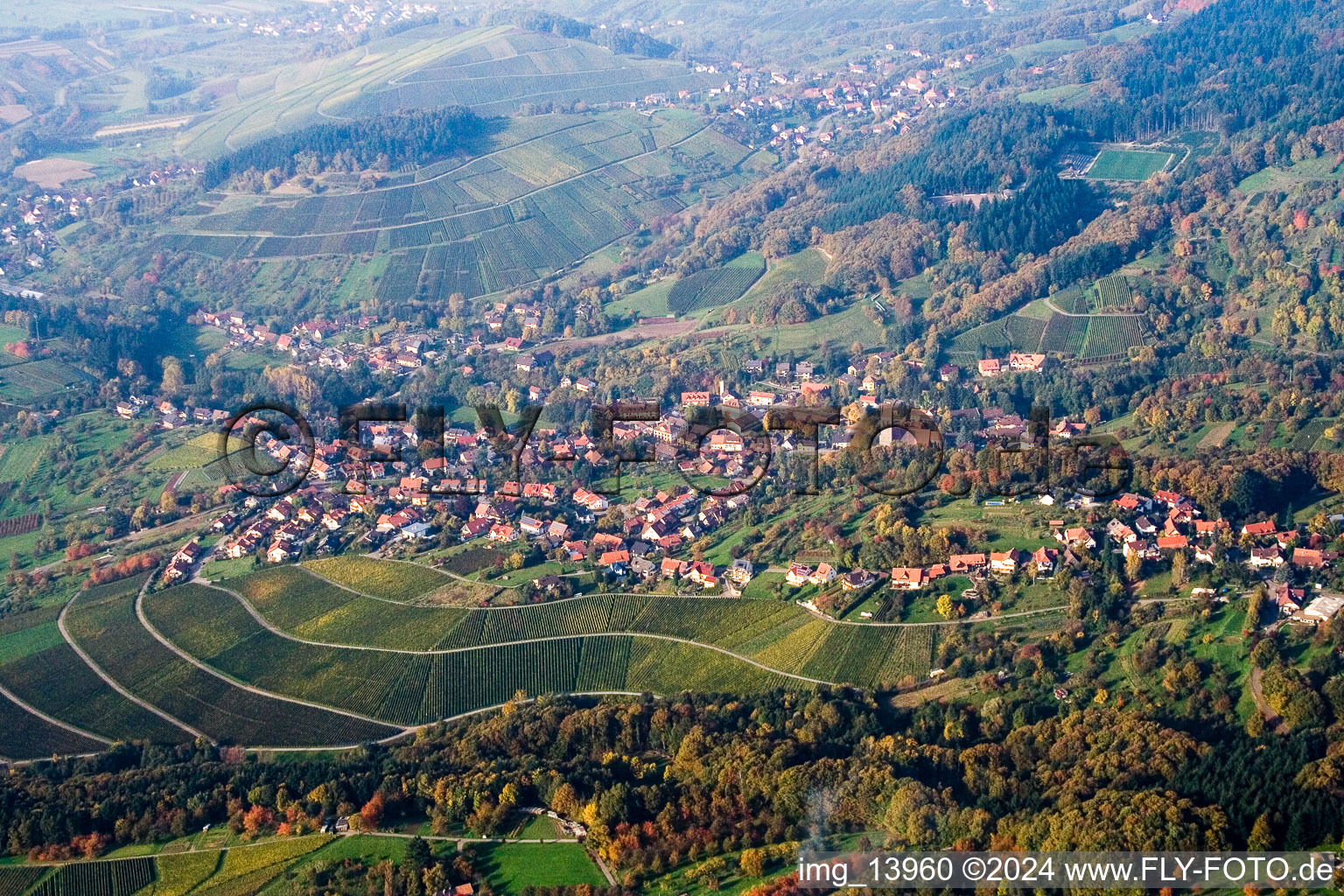 Village - view on the edge of wine yards in the district Neusatz in Buehl in the state Baden-Wurttemberg