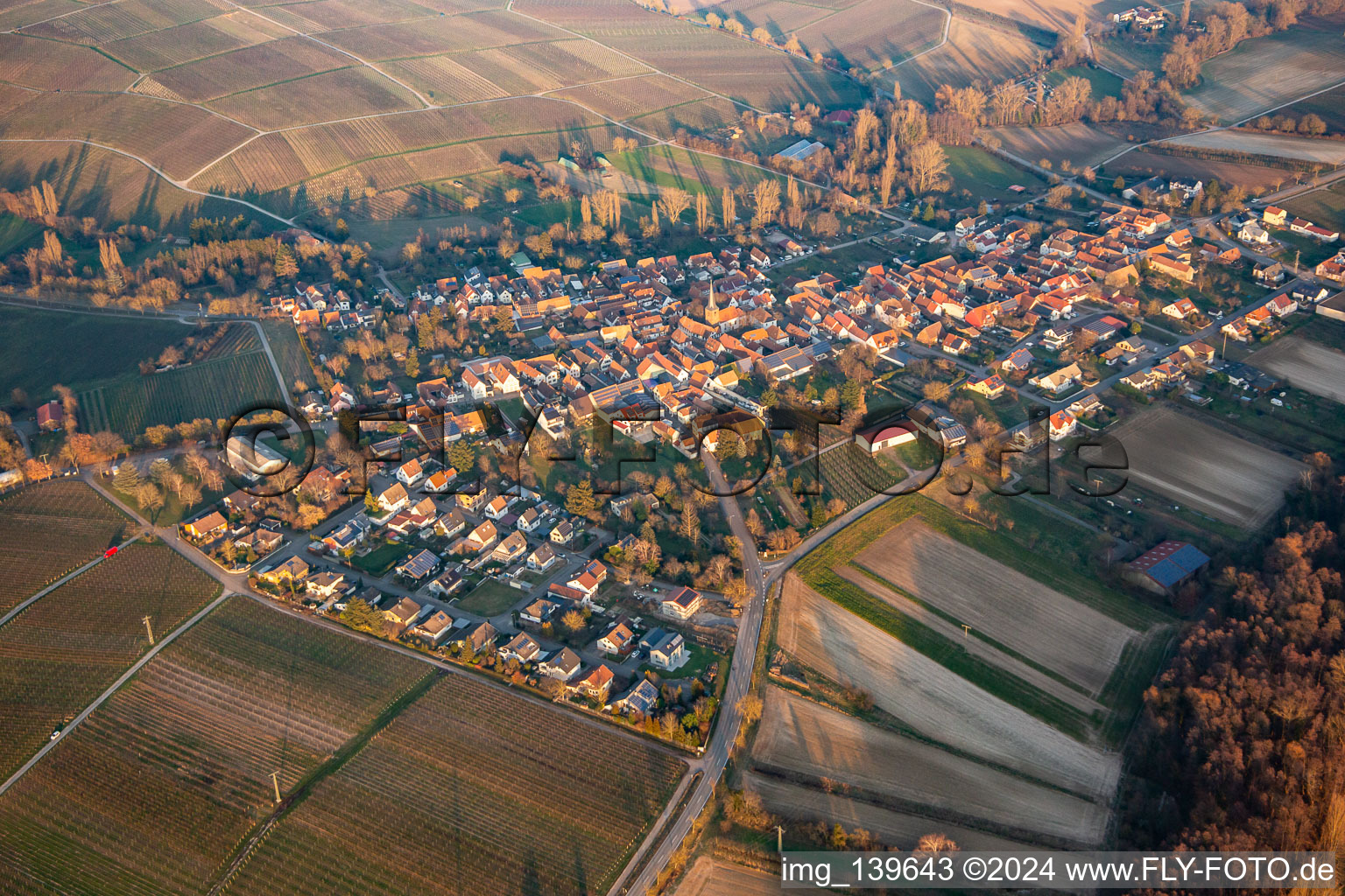 In winter in the evening from the west in the district Heuchelheim in Heuchelheim-Klingen in the state Rhineland-Palatinate, Germany