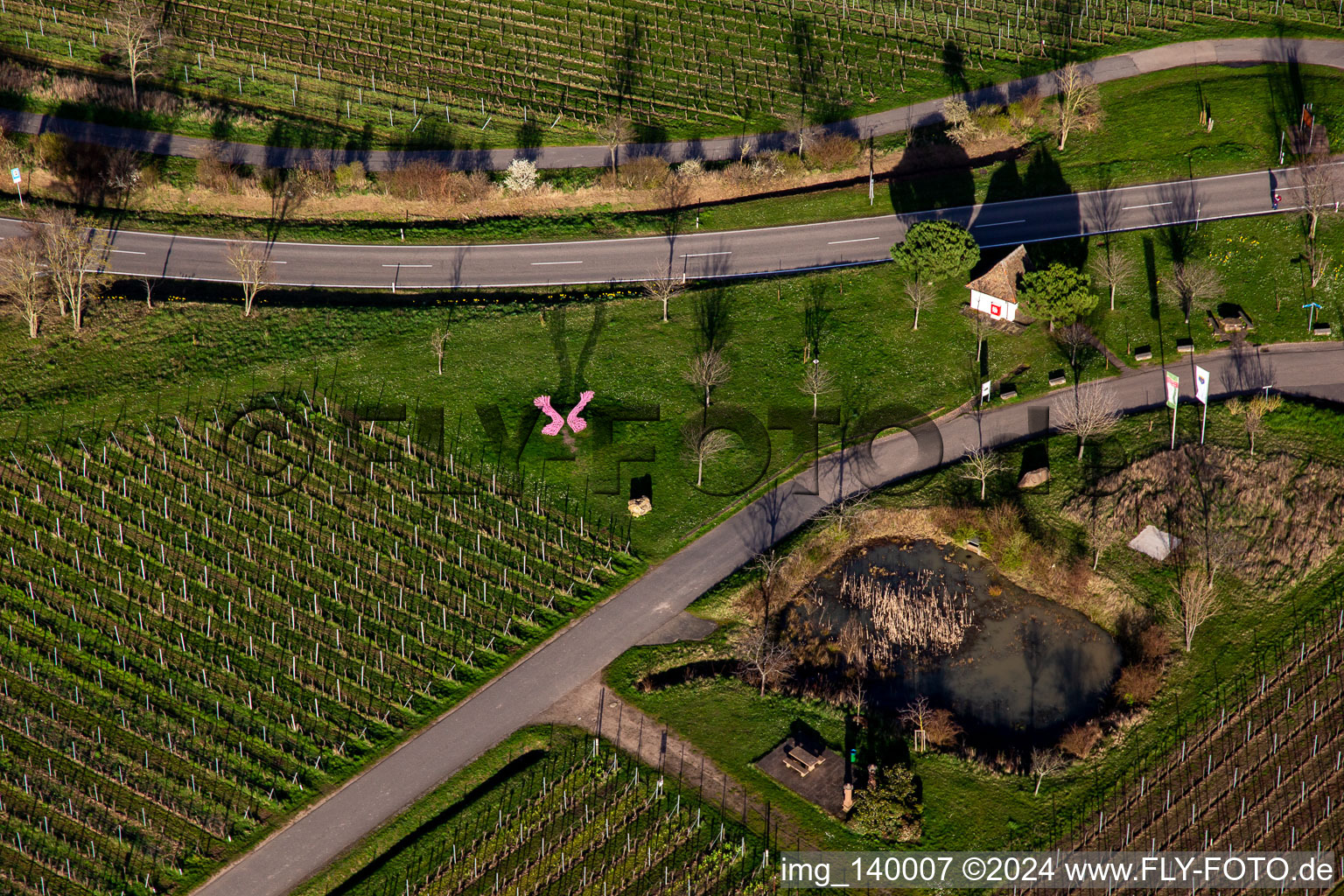Aerial view of Sculpture house in spring in Sankt Martin in the state Rhineland-Palatinate, Germany