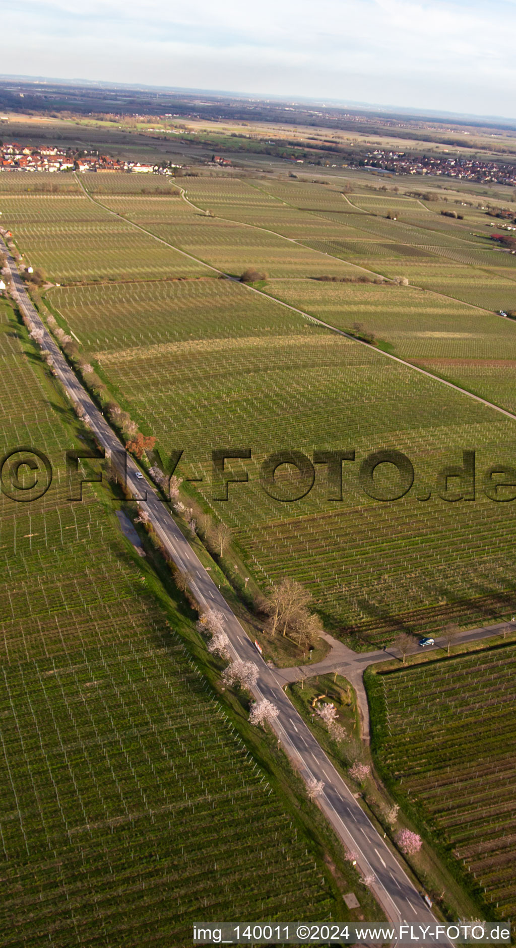 Almond Mile and Wine Trail on Villastr in Edenkoben in the state Rhineland-Palatinate, Germany