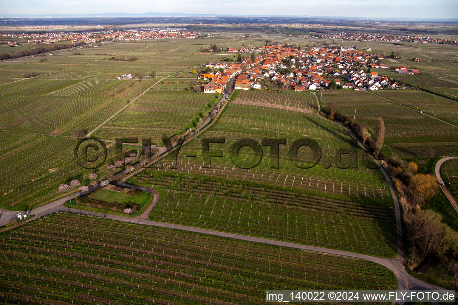 From the west in Rhodt unter Rietburg in the state Rhineland-Palatinate, Germany