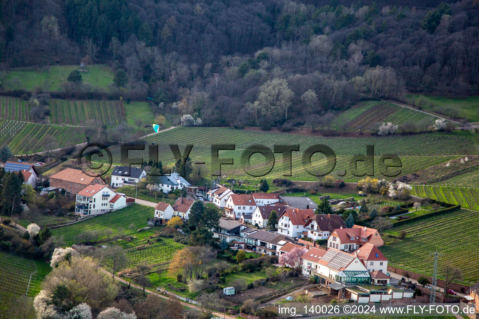 Paraglider approaching the Weyher parking lot in Weyher in der Pfalz in the state Rhineland-Palatinate, Germany