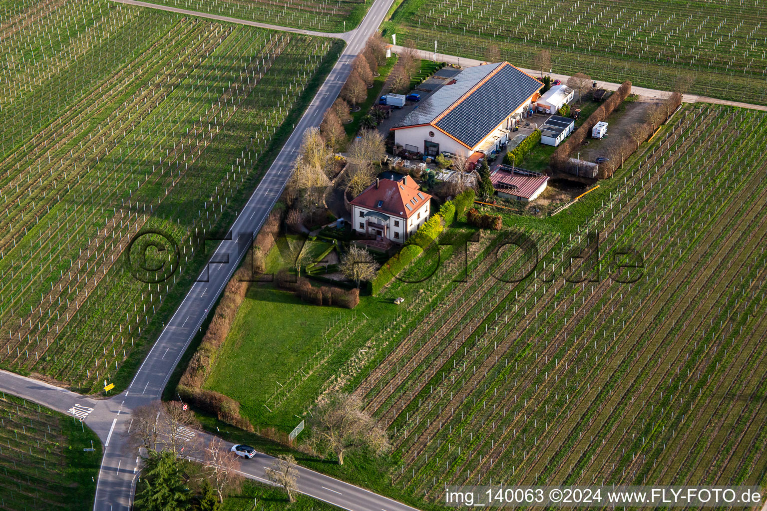 Villa Hochdörffer - winery & guest house in the district Nußdorf in Landau in der Pfalz in the state Rhineland-Palatinate, Germany
