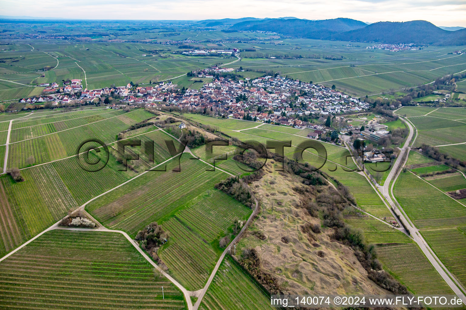 Kleine Kalmit Nature Reserve in spring in the district Arzheim in Landau in der Pfalz in the state Rhineland-Palatinate, Germany