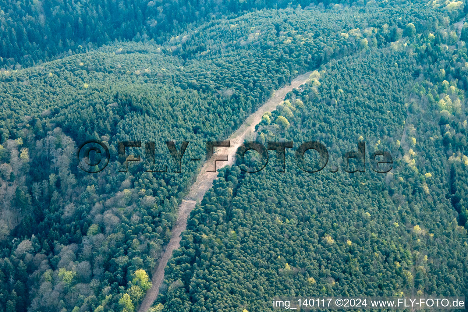 Path through the Palatinate Forest for the reconstruction of the section of the Trans-Europe natural gas pipeline (TENP-III from the Netherlands to Switzerland) on a length of 51 km between Mittelbrunn and Klingenmünster in Klingenmünster in the state Rhineland-Palatinate, Germany