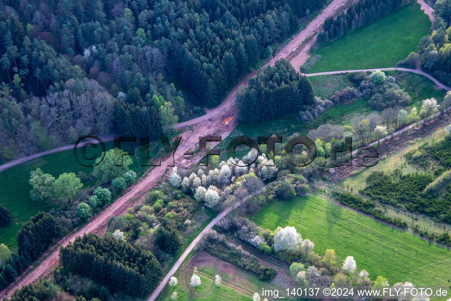 Path through the Palatinate Forest for the reconstruction of the 51 km section of the Trans-Europe natural gas pipeline (TENP-III from the Netherlands to Switzerland) between Mittelbrunn and Klingenmünster in Schwanheim in the state Rhineland-Palatinate, Germany