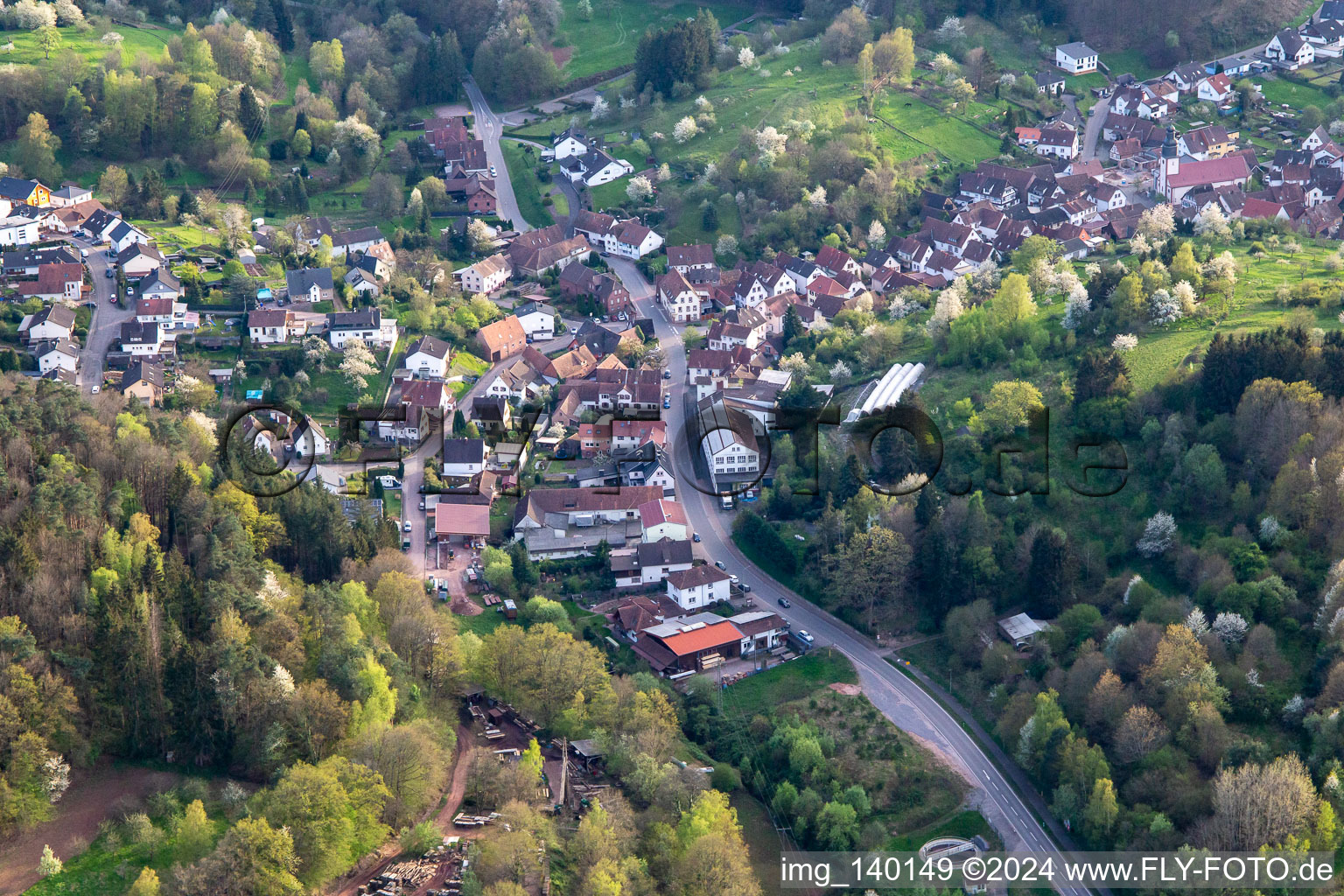 Drone image of Schwanheim in the state Rhineland-Palatinate, Germany