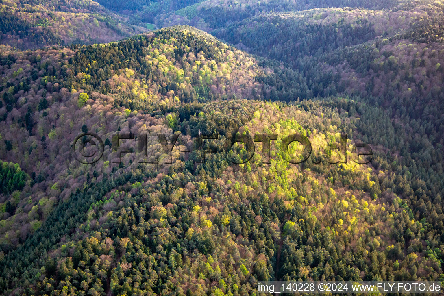 Palatinate Forest hills in spring in Erlenbach bei Dahn in the state Rhineland-Palatinate, Germany