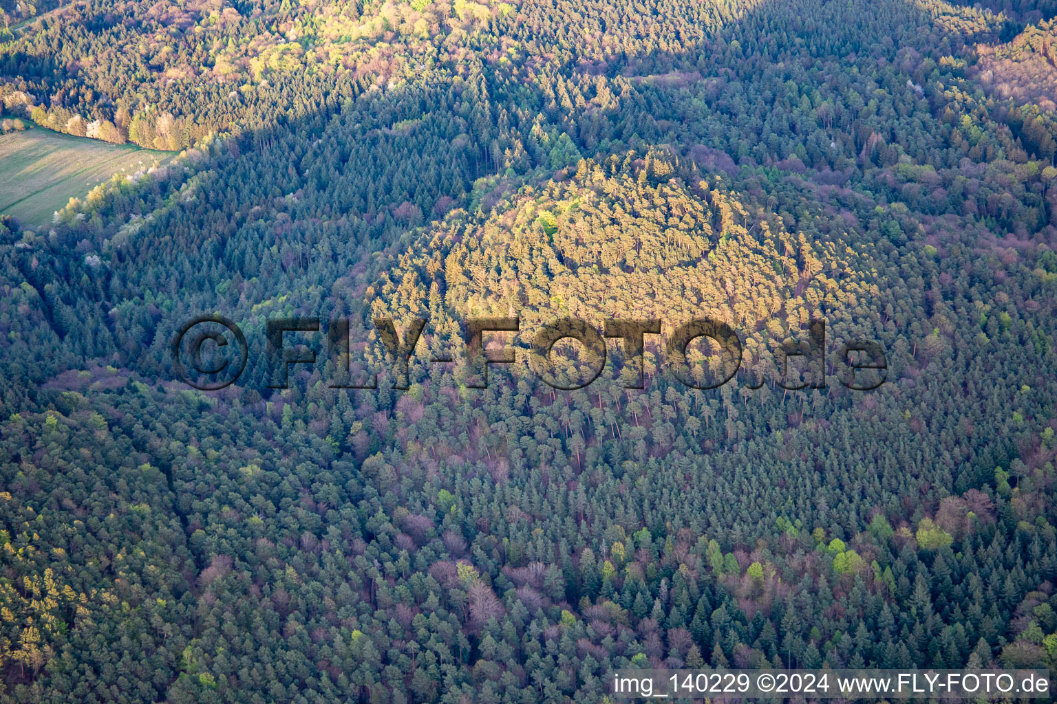 Palatinate Forest hills in spring in Birkenhördt in the state Rhineland-Palatinate, Germany