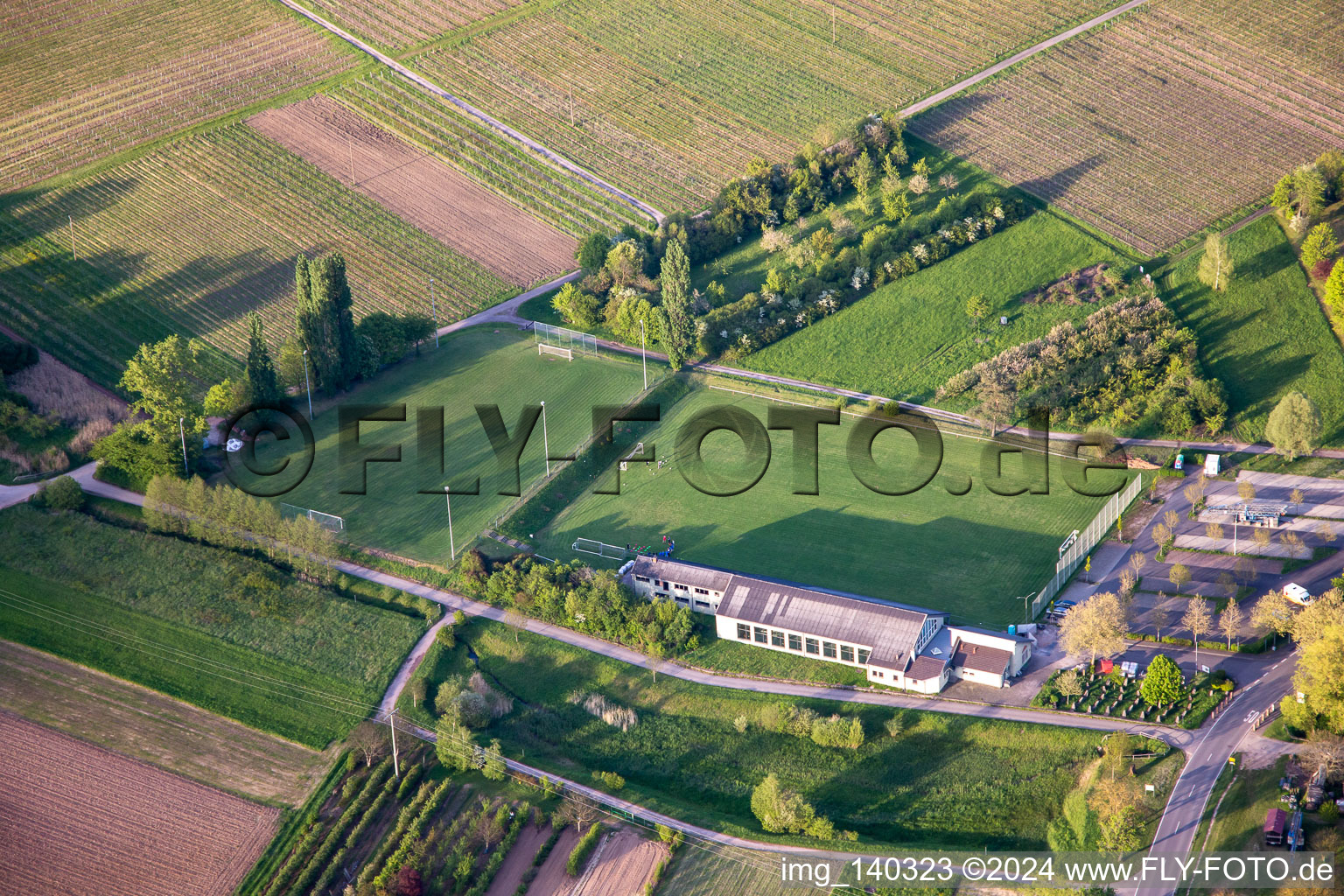 Football field in Göcklingen in the state Rhineland-Palatinate, Germany