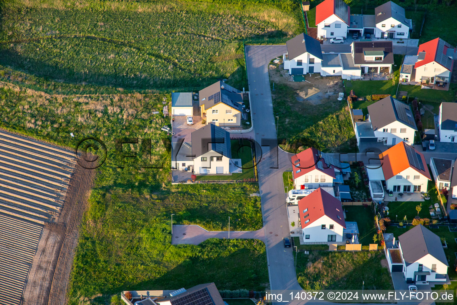 Aerial photograpy of Daffodil path in Kandel in the state Rhineland-Palatinate, Germany