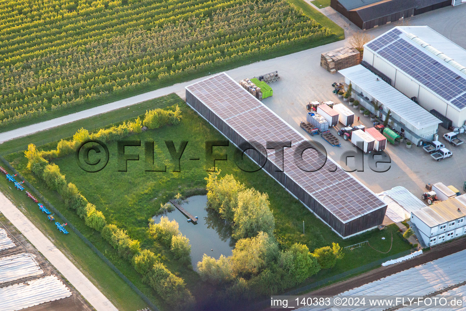 Oblique view of Farmer's garden in Winden in the state Rhineland-Palatinate, Germany