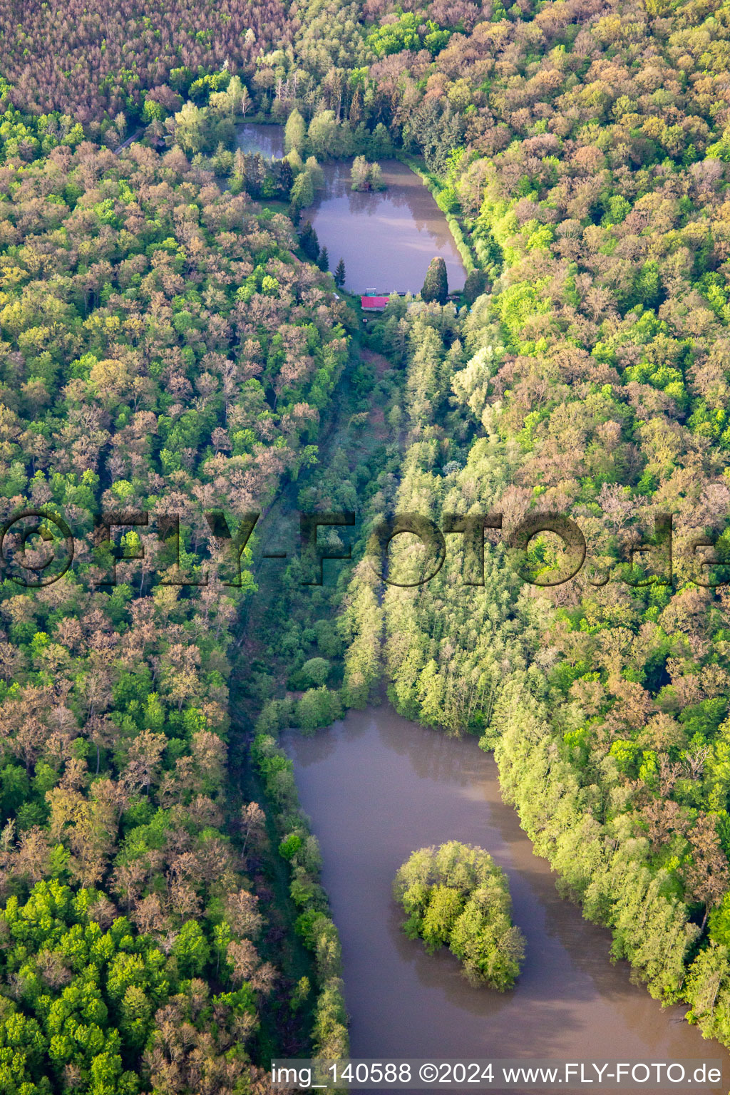 Gross Schwarzweiher in Niederstinzel in the state Moselle, France